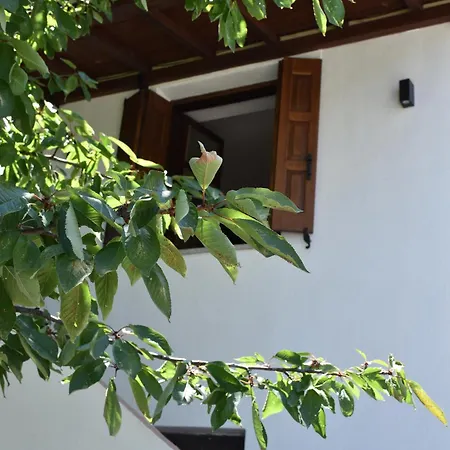 فندق Dendrokipos δενδρόκηπος Mourésion