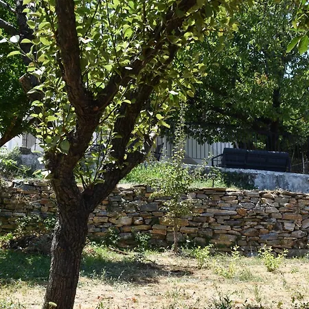 Dendrokipos δενδρόκηπος